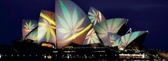 Cannabis Activism Sydney Opera House Laws Alec Zammit Australia