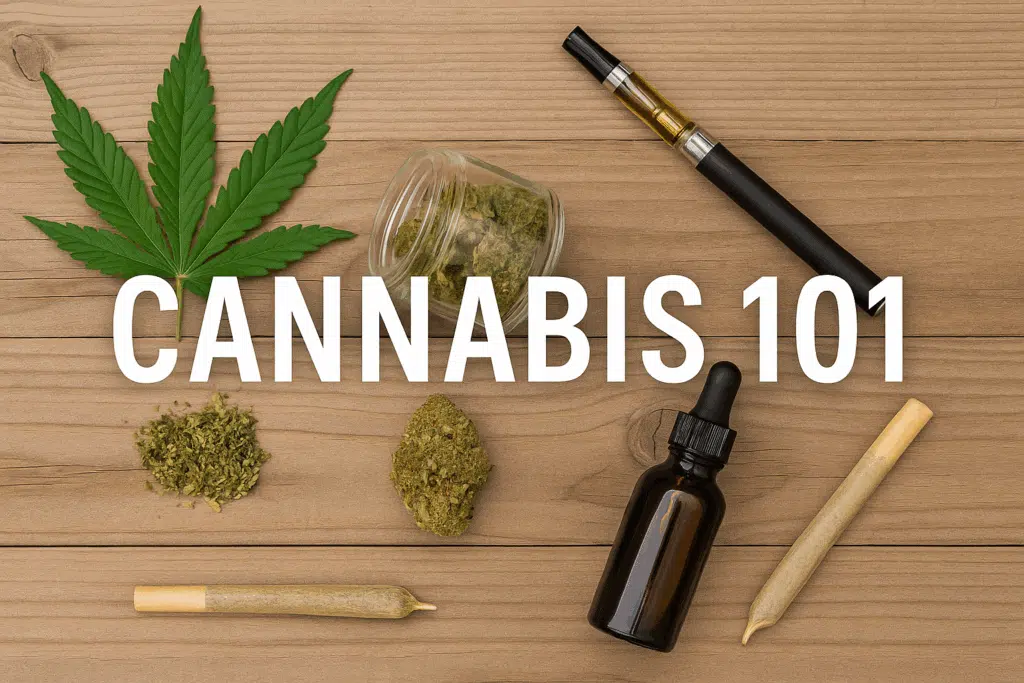 learn about cannabis and its benefits at the cake house dispensary
