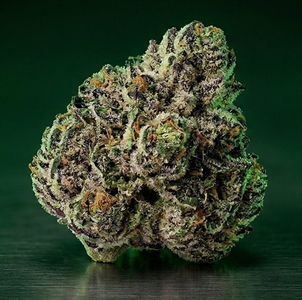 Sunset Sherbert Flower